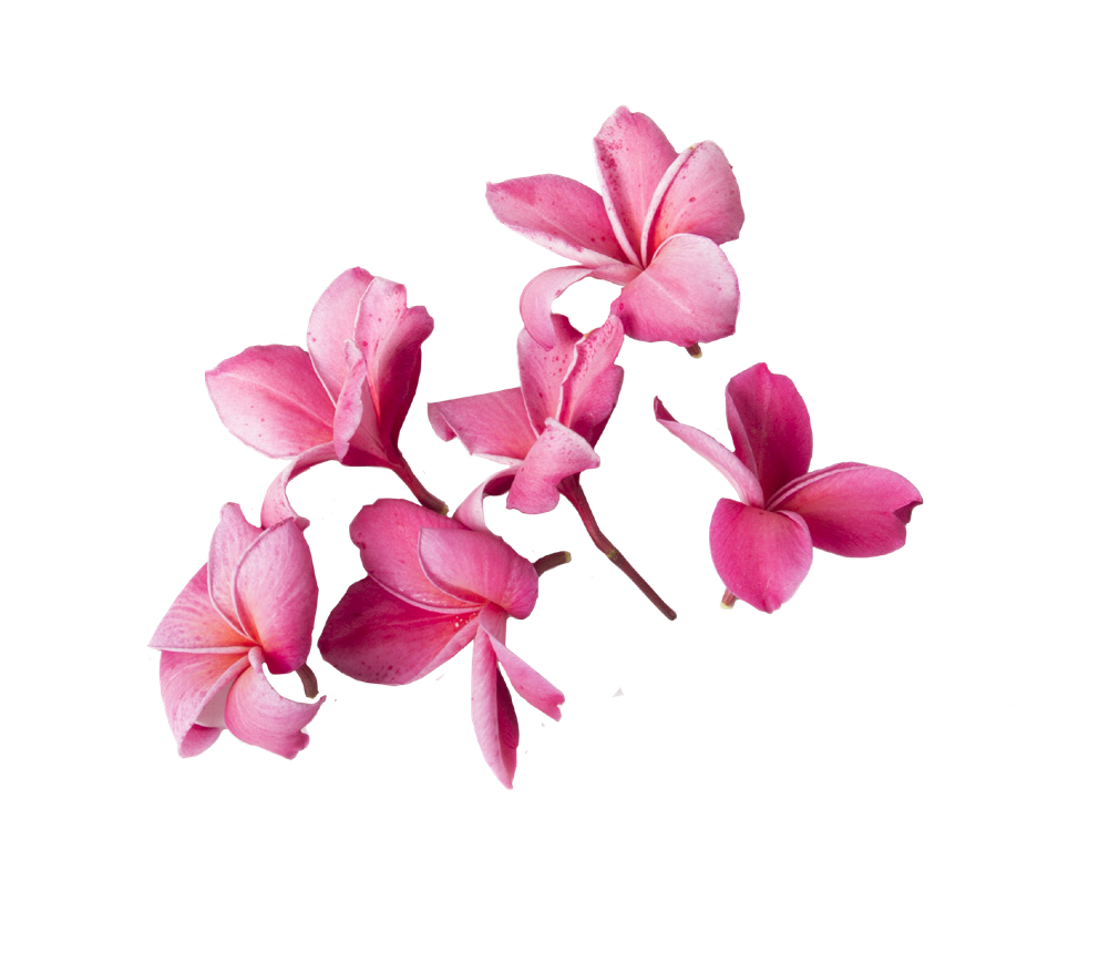 rode_blomster_fritlagt